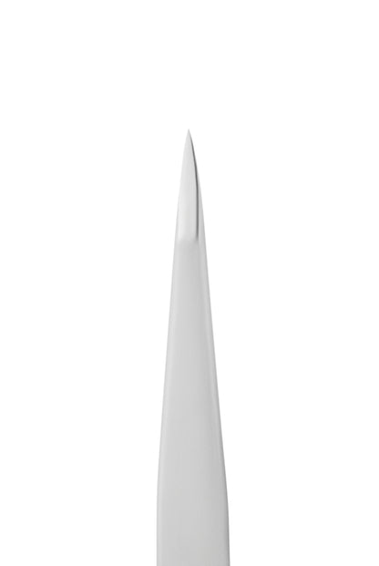 Staleks Pro Augenbrauenpinzette Expert 10 Typ 5 Spitze (TE-10/5)