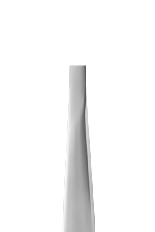 Staleks Pro Augenbrauenpinzette Expert 10 Typ 2 Schmal Gerade (TE-10/2)