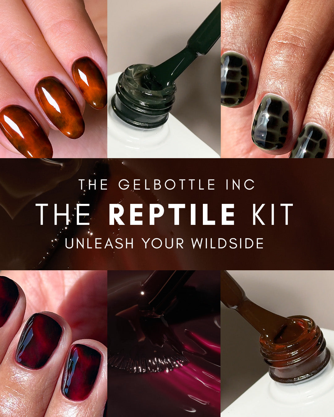 Das GelBottle Reptile Kit