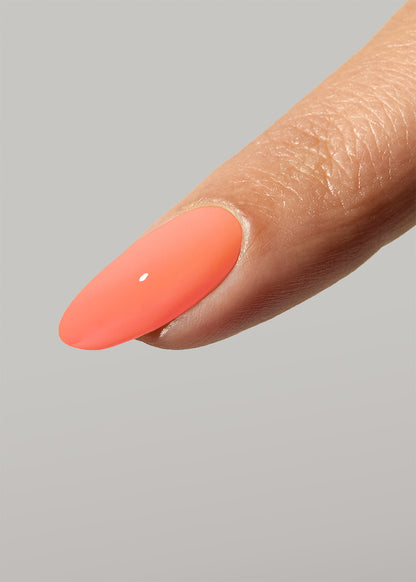 The Gelbottle Nectar